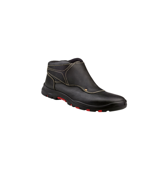 Zapato